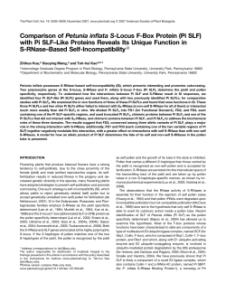 Comparison of Petunia inflata S-Locus F