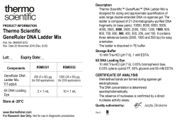 GeneRuler DNA Ladder Mix - Thermo Fisher Scientific