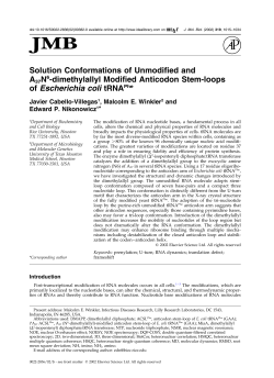 Solution Conformations of Unmodified and A37N6