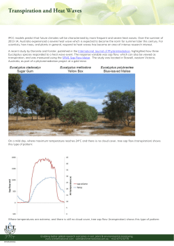 Transpiration and Heat Waves