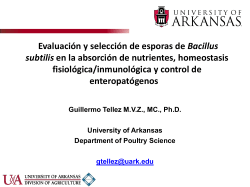 Previously: relative enzyme activity