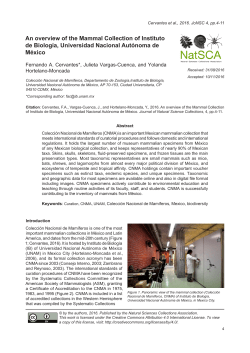 An overview of the Mammal Collection of Instituto