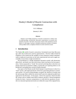 Huxley`s Model of Muscle Contraction with Compliance