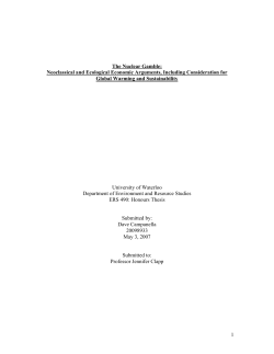 1 The Nuclear Gamble: Neoclassical and Ecological Economic
