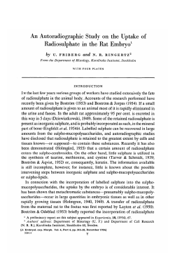 An Autoradiographic Study on the Uptake of