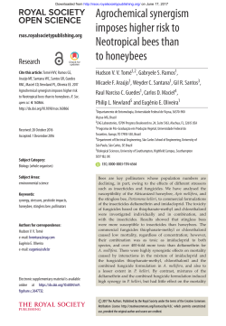 Agrochemical synergism imposes higher risk to Neotropical bees