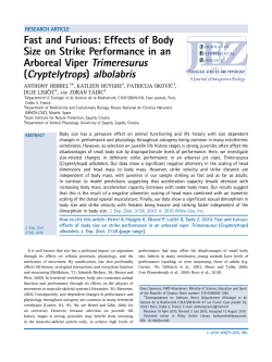 Fast and furious: effects of body size on strike performance in an