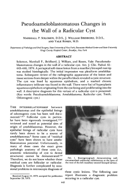 Pseudoameloblastomatous Changes in the Wall of a Radicular Cyst