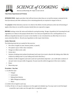 Take Home Experiment II