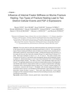 Influence of Internal Fixator Stiffness on Murine Fracture Healing