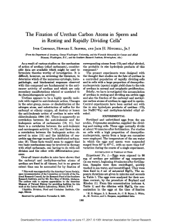 The Fixation of Urethan Carbon Atoms in Sperm