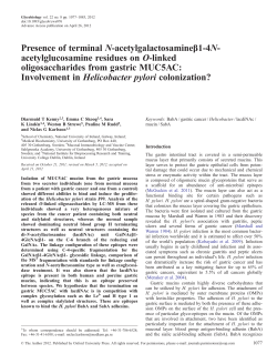 Presence of terminal N-acetylgalactosamine&beta;1