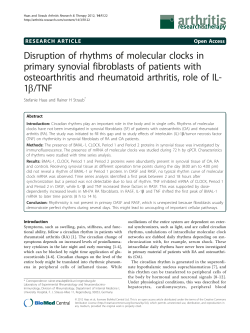 Disruption of rhythms of molecular clocks in primary synovial