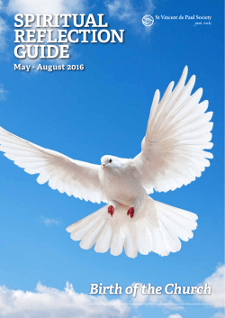 spiritual reflection guide - St Vincent de Paul Society