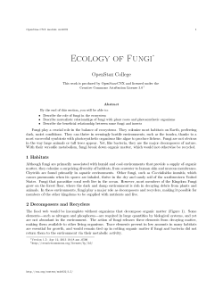 Ecology of Fungi