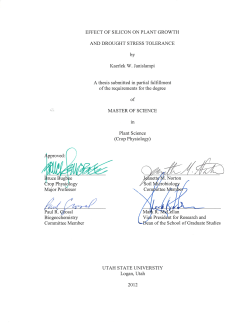 Effect of Silicon on Plant Growth and Drought Stress
