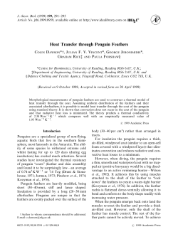 Heat Transfer through Penguin Feathers