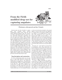 From the Field: modified drop