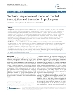Stochastic sequence-level model of coupled transcription and
