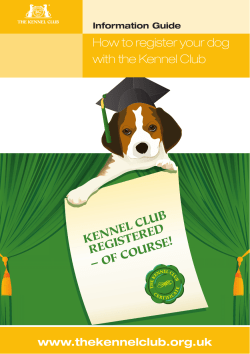 How to register your dog with the Kennel Club
