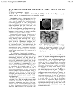 MULTICELLULAR MAGNETOTACTIC PROKARYOTE AS A