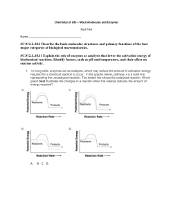 Chemistry of Life &ndash; Macromolecules and Enzymes