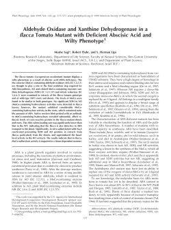 Aldehyde Oxidase and Xanthine Dehydrogenase in a flacca Tomato
