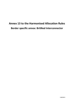 Annex 13 to the Harmonised Allocation Rules