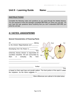 Unit 8 ~ Learning Guide Name