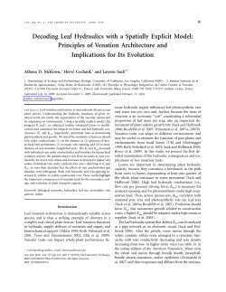 Decoding Leaf Hydraulics with a Spatially Explicit Model