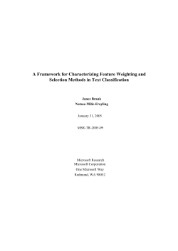 A Framework for Characterizing Feature Weighting and