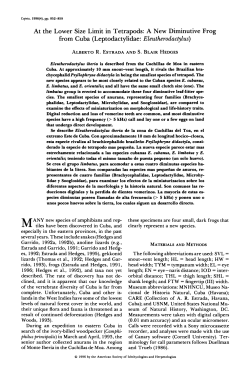 Eleutherodactylus iberia