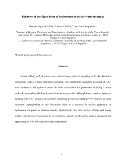Pdf version.
