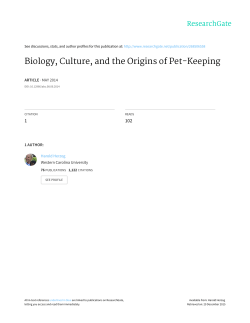 Biology, Culture, and the Origins of Pet