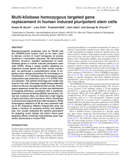 Multi-kilobase homozygous targeted gene replacement in human