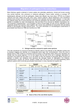 Migration of pathogens in the subsurface