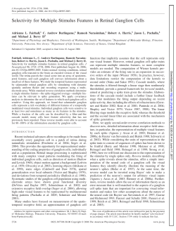 Selectivity for Multiple Stimulus Features in Retinal Ganglion Cells