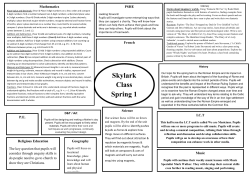 Skylark Class Spring 1 - Great Wishford School