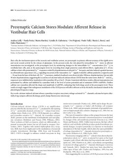 Presynaptic Calcium Stores Modulate Afferent Release