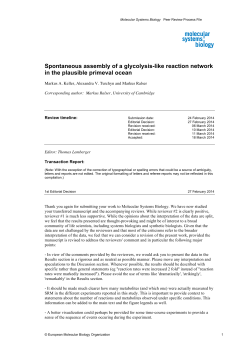 Spontaneous assembly of a glycolysis