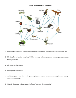 Biology-Ecology-Criticial Thinking Diagram WS