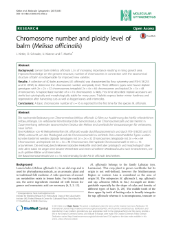 Chromosome number and ploidy level of balm