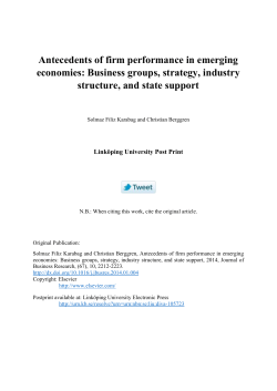 Antecedents of firm performance in emerging economies