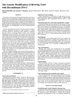 The Genetic Modification of Brewing Yeast with