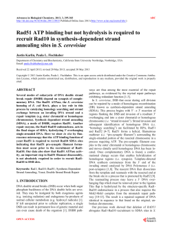 Rad51 ATP binding but not hydrolysis is required to recruit Rad10 in