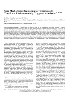 Core Mechanisms Regulating Developmentally