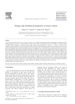 Design and mechanical properties of insect cuticle (PDF