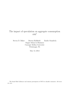 The impact of speculation on aggregate consumption risk