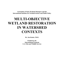 Management and Restoration of Wetlands and River Basins: A US