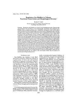 Respiratory Gas Bladders in Teleosts: Functional Conservatism and
